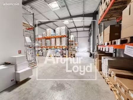 local d'activité 982 m²