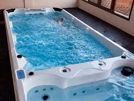 maison familiale jardin  bassin de nage & jacuzzi