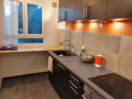 studio 1 pièce 29 m²