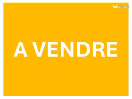 vente restaurant pizzéria secteur st gilles les bains