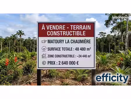 terrain 24 440 m² matoury