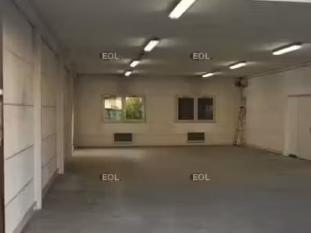 local d'activité 223 m²