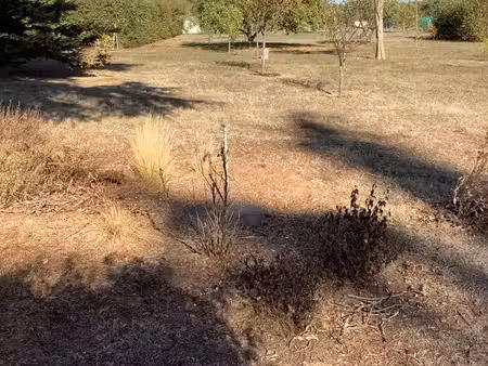 terrain constructible à st-doulchard 1563 m2