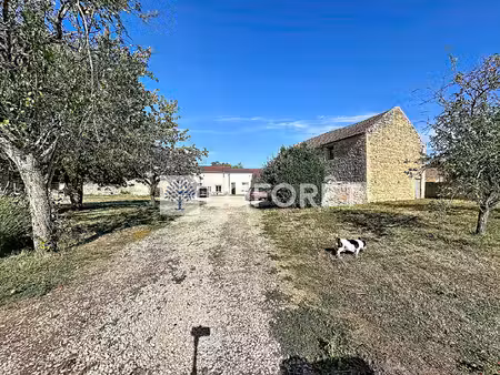 vente en viager maison airvault