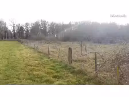 terrain 9925 m2 à ménesplet (constructible)