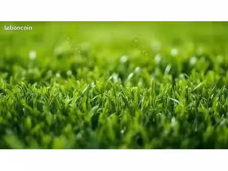 terrain 650 m² pitres