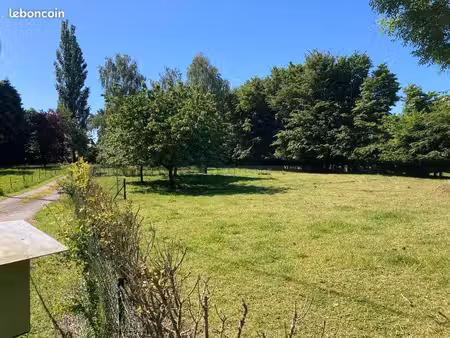 terrain constructible