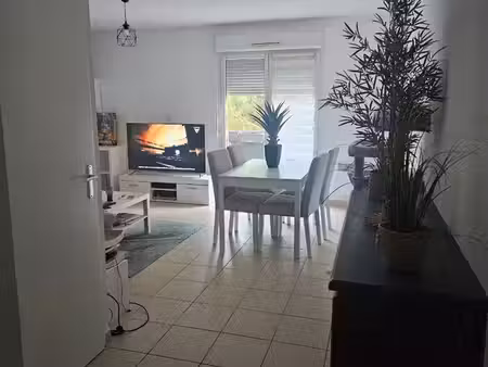 appartement t2
