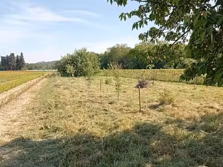 terrain à vendre