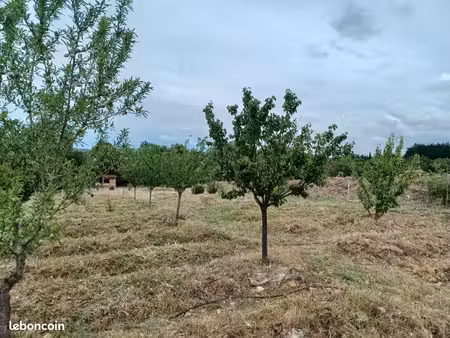 terrain agricole 6700m2