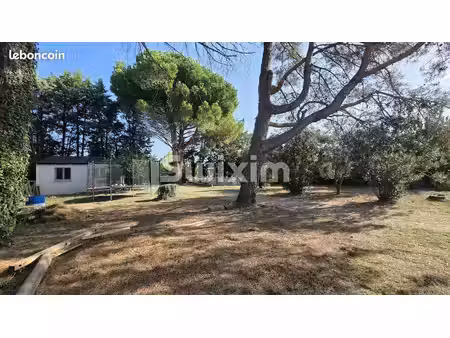 terrain 2 pièces 1500 m²