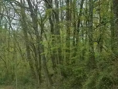 parcelle boisée 86 ares