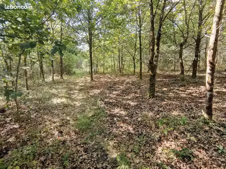 terrain parcelle de 8000 m2 à romorantin