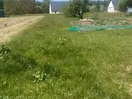 terrain constructible 1785 m2 dont 250 m2de chemin d accès
