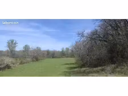 terrain boisé et prairie