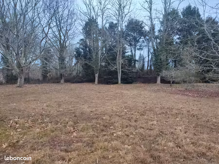 terrain constructible à vendre a yangues