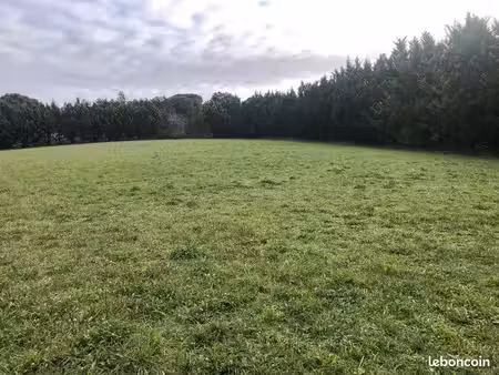 terrain 5000 m2 à vieille-toulouse