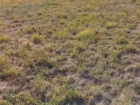 terrain agricole
