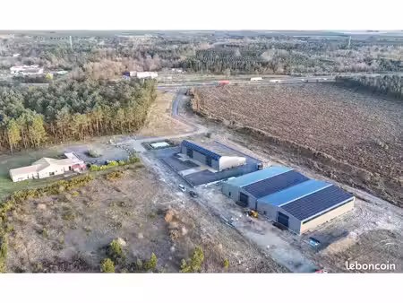 local d'activité 800m2 - entrepôt bord a63