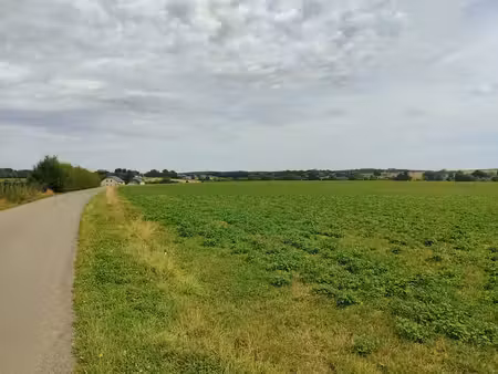 groupe arcade: terrain agricole en jachère