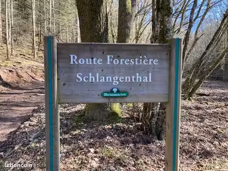 terrain forestier région baerenthal 57230