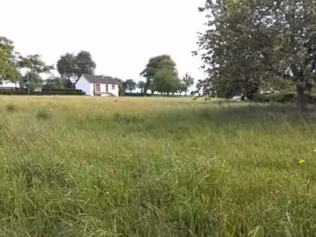 vente terrain à valdallière (14410) : à vendre / 1182m² valdallière