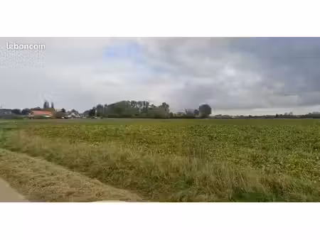 terrain 560 m² eringhem