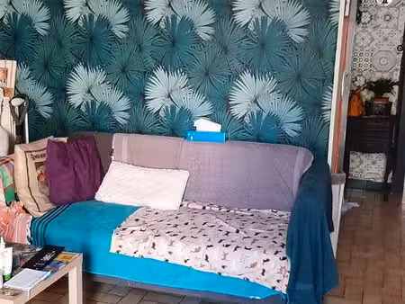 maison avec jardin
