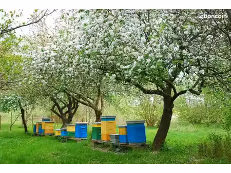recherche / achat - terrain agricole ouest de tarbes