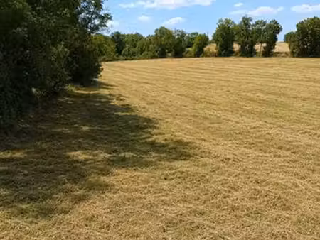 vends terrains chaspuzac