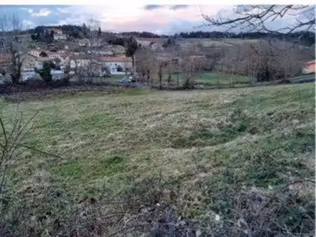 terrain constructible