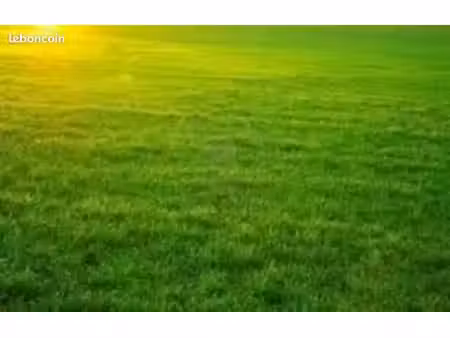 terrain 1 241 m² briscous