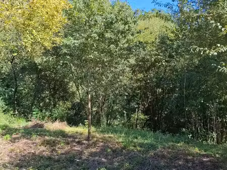 terrain constructible 800m2