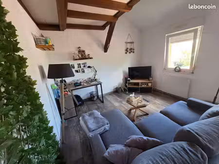 appartement rénové avec mezzanine et balcon à bischwiller