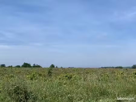 vente terres en friche