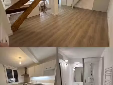 t2 duplex entièrement rénové – vue sarthe et cathédrale – le mans