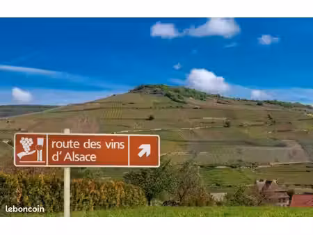 terrain 1 000 m² chatenois