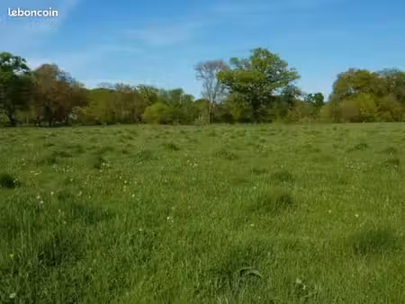 recherche prairie ou pâture à vendre