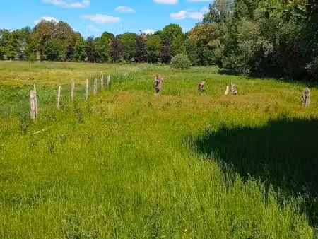 terrain agricole