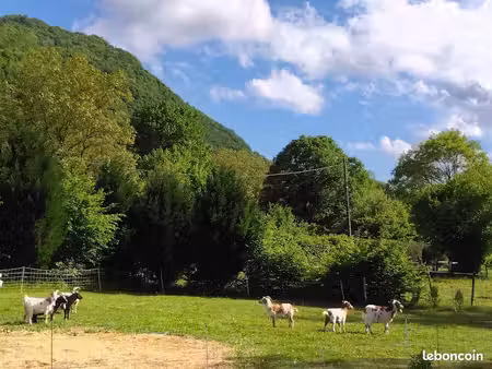 rare terrain de loisir avec abris bois sur les hauteurs de challes les eaux