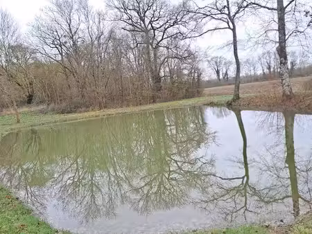 terrain de pêche et loisirs