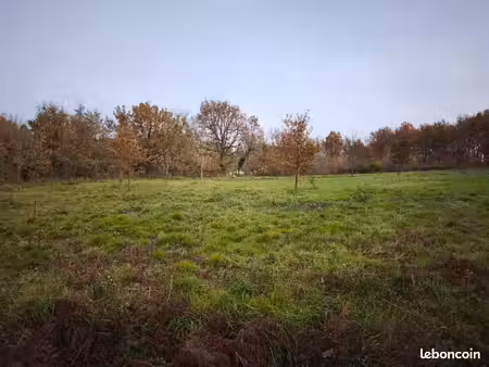 terrain 1 584 m² damiatte