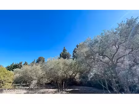 terrain 428 m² jonquerettes