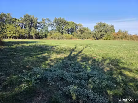 terrain 1361 m² tercé