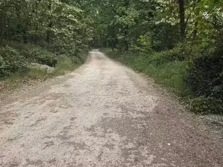 terrains viabilisés a montbeton endroit très calme et pas en bord de route
