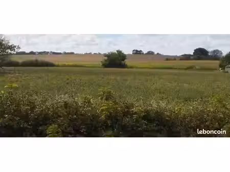 terrain constructible