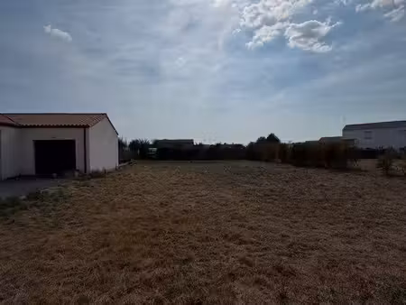 terrain constructible