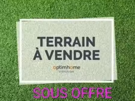 terrain