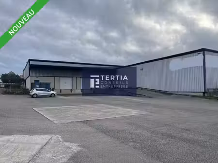 vente local d’activités villeneuve les maguelone 34750 2250m²