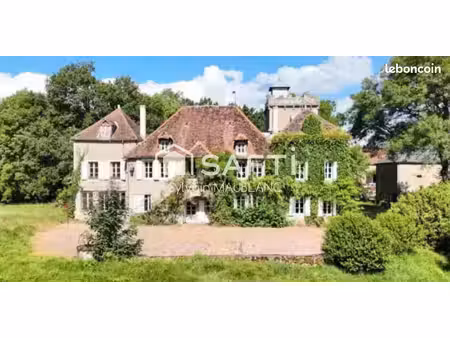 château 18 pièces 499 m²